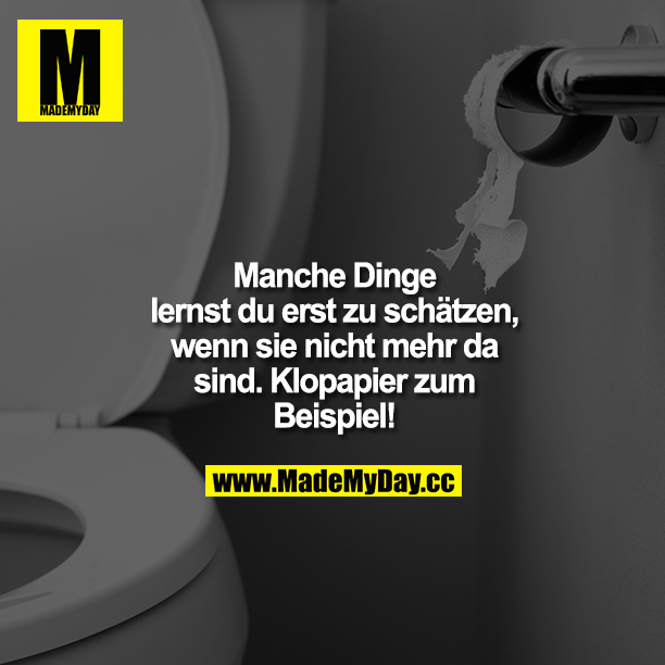 Manche Dinge lernst du erst zu schätzen, wenn sie nicht mehr da sind. Klopapier zum Beispiel!<br />
