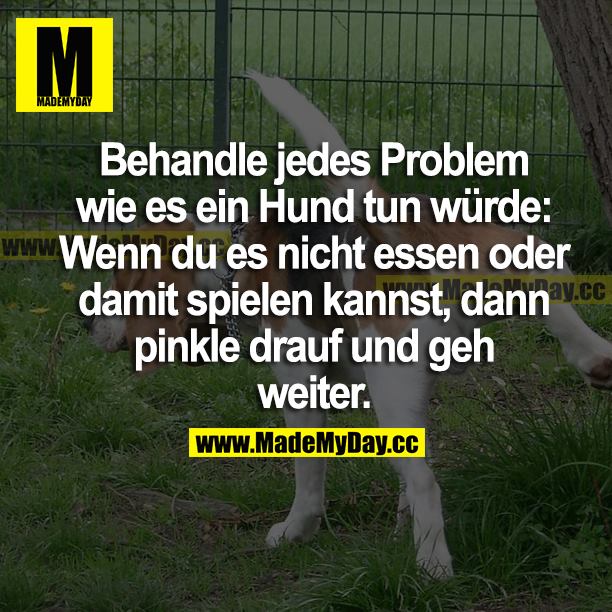 Behandle jedes Problem wie es ein Hund tun würde: Wenn du es nicht essen oder damit spielen kannst, dann pinkle drauf und geh weiter.