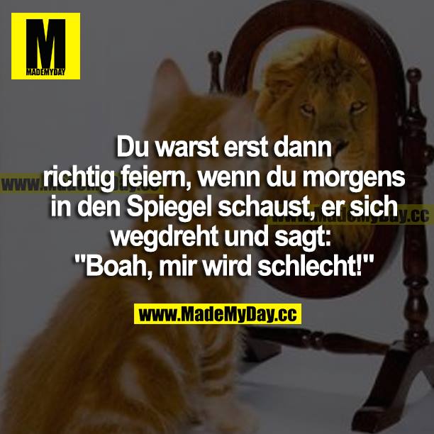Du warst erst dann richtig feiern, wenn du morgens in den Spiegel schaust, er sich wegdreht und sagt: "Boah, mir wird schlecht!"