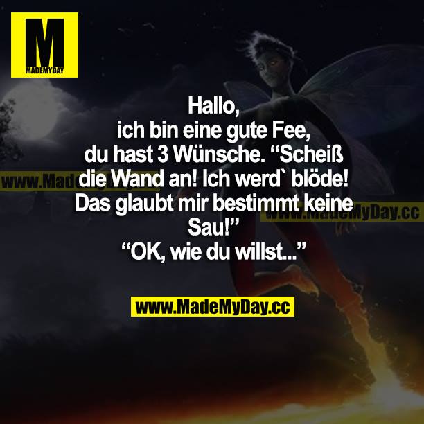 Hallo, ich bin eine gute Fee, du hast 3 Wünsche. "Scheiß die Wand an! Ich werd blöde! Das glaubt mir bestimmt keine Sau!" "OK, wie du willst..."