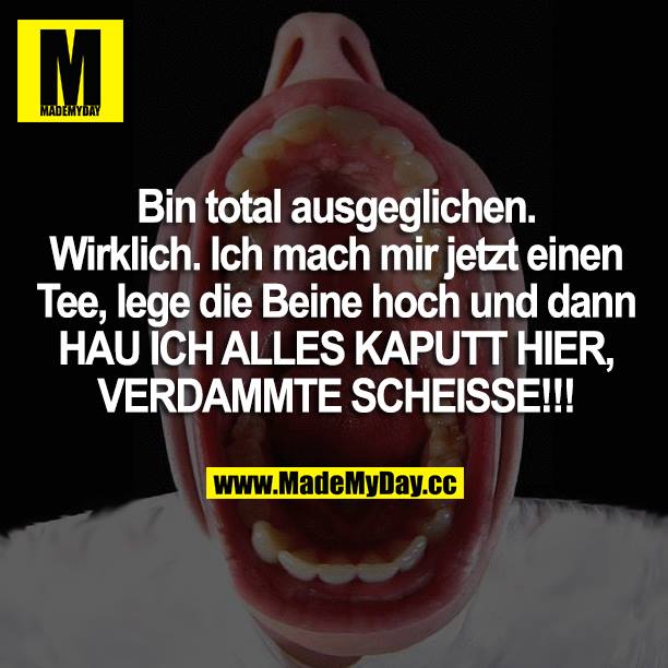 Bin total ausgeglichen. Wirklich. Ich mach mir jetzt einen Tee, lege die Beine hoch und dann HAU ICH ALLES KAPUTT HIER, VERDAMMTE SCHEISSE!!!