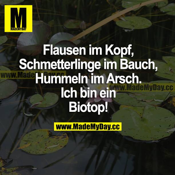 Flausen im Kopf, Schmetterlinge im Bauch, Hummeln im Arsch. Ich bin ein Biotop!