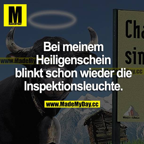 Bei meinem Heiligenschein blinkt schon wieder die Inspektionsleuchte.