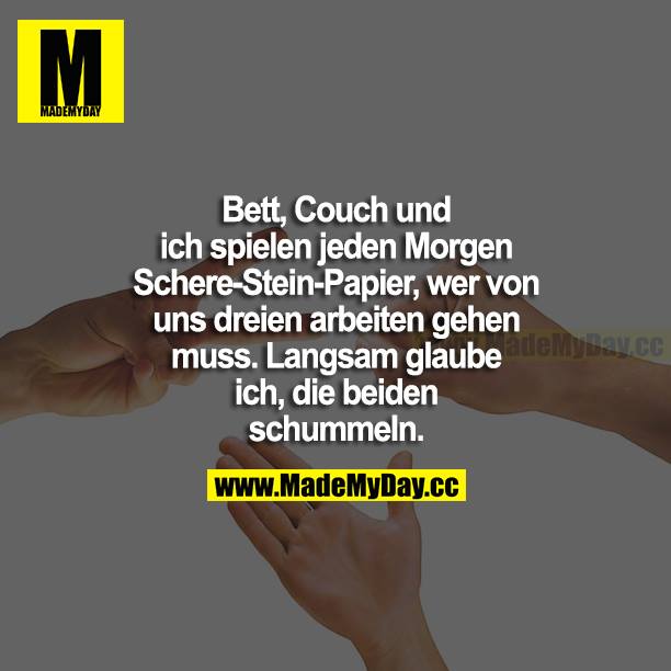 Bett, Couch und ich spielen jeden Morgen Schere-Stein-Papier, wer von uns dreien arbeiten gehen muss. Langsam glaube ich, die beiden schummeln.