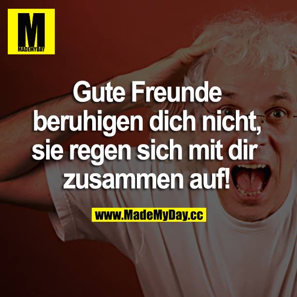 Gute Freunde beruhigen dich nicht, sie regen sich mit dir zusammen auf.