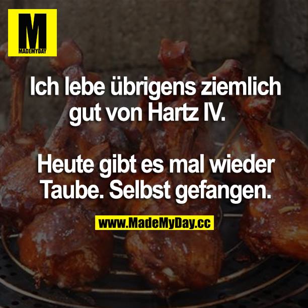 Ich lebe übrigens ziemlich gut von Hartz IV. <br />
Heute gibt es mal wieder Taube. Selbst gefangen.