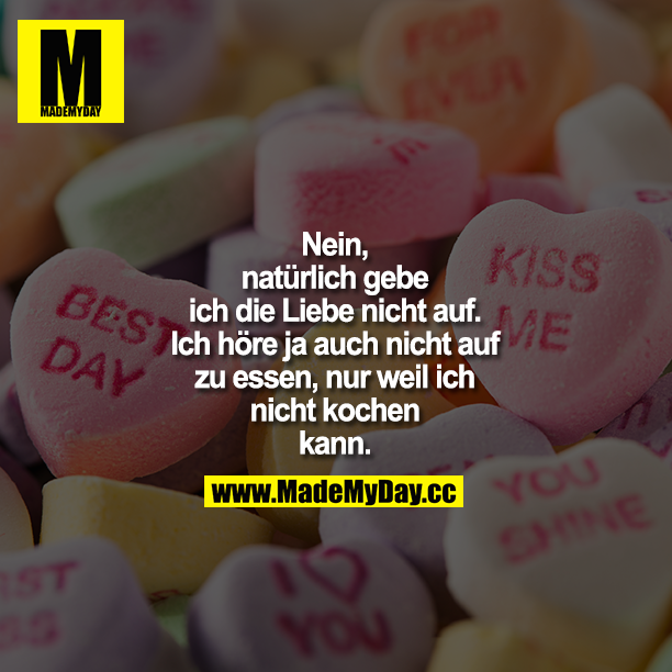 Nein, natürlich gebe ich die Liebe nicht auf. Ich höre ja auch nicht auf zu essen, nur weil ich nicht kochen kann.