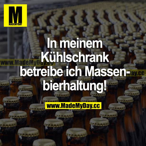 In meinem Kühlschrank betreibe ich Massenbierhaltung!
