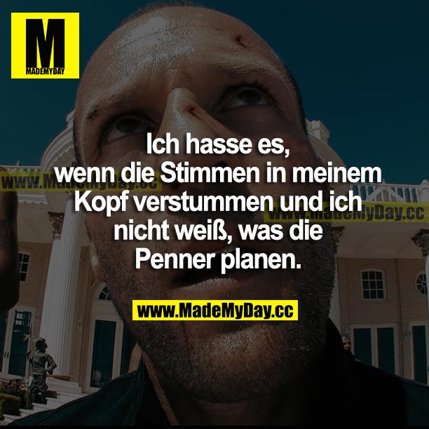Ich hasse es, wenn die Stimmen in meinem Kopf verstummen und ich nicht weiß, was die Penner planen.