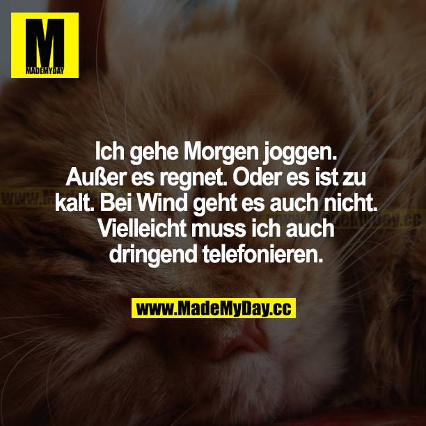 Ich gehe morgen joggen. Außer es regnet. Oder es ist zu kalt. Bei Wind geht es auch nicht. Vielleicht muss ich auch dringend telefonieren.