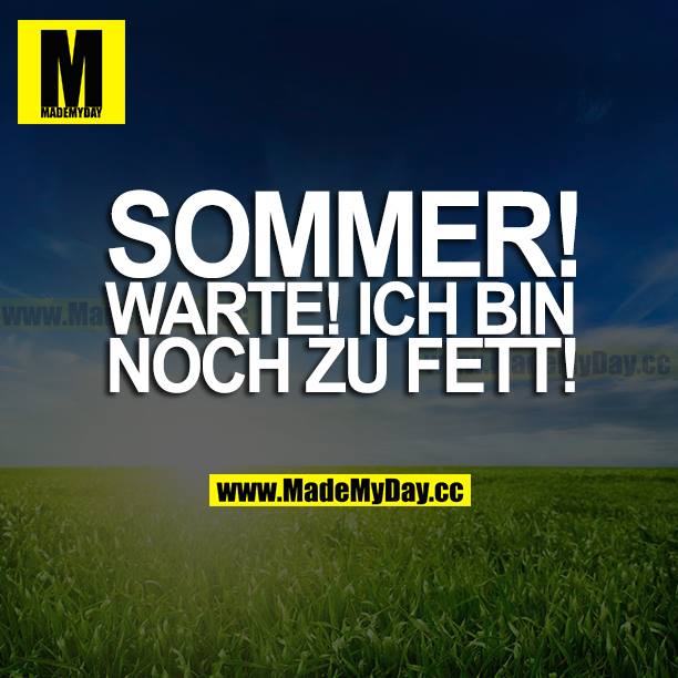 SOMMER! WARTE! ICH BIN NOCH ZU FETT!