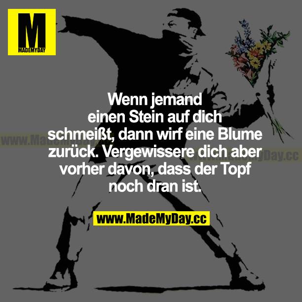 Wenn jemand einen Stein auf dich schmeißt, dann wirf eine Blume zurück. Vergewissere dich aber vorher davon, dass der Topf noch dran ist.