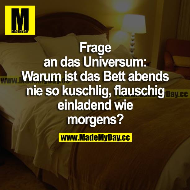 Frage an das Universum: Warum ist das Bett abends nie so kuschlig, flauschig einladend wie morgens?