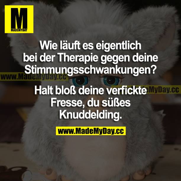 Wie läuft es eigentlich bei der Therapie gegen deine Stimmungsschwankungen? Halt bloß deine verfickte Fresse, du süßes Knuddelding.