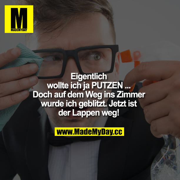 Eigentlich wollte ich ja PUTZEN ...<br />
Doch auf dem Weg ins Zimmer wurde ich geblitzt. Jetzt ist der Lappen weg!