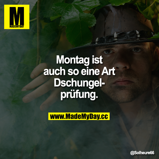 Montag ist auch so eine Art Dschungelprüfung.