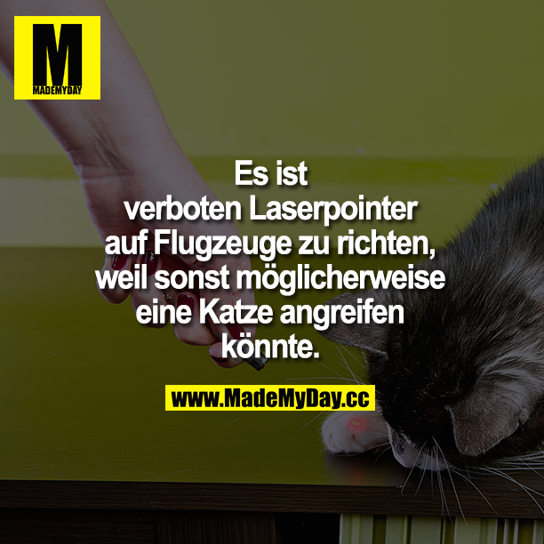 Es ist verboten Laserpointer auf Flugzeuge zu richten, weil sonst möglicherweise eine Katze angreifen könnte.