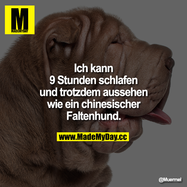 Ich kann 9 Stunden schlafen und trotzdem aussehen wie ein chinesischer Faltenhund.