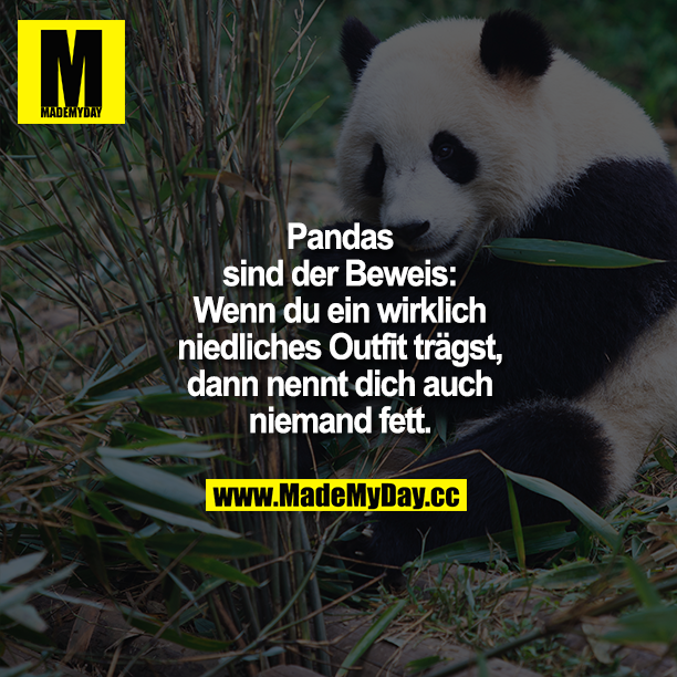 Pandas sind der Beweis:<br />
Wenn du ein wirklich niedliches Outfit trägst, dann nennt dich auch niemand fett.