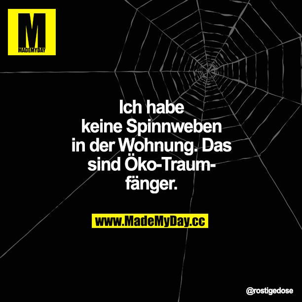 Ich habe keine Spinnweben in der Wohnung. Das sind Öko-Traumfänger. 