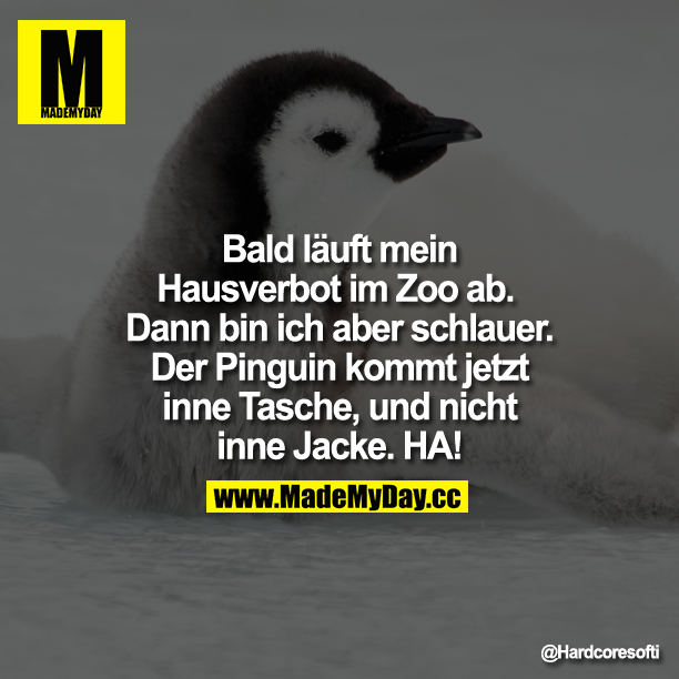 Bald läuft mein Hausverbot im Zoo ab. Dann bin ich aber schlauer.<br />
Der Pinguin kommt jetzt inne Tasche,<br />
und nicht inne Jacke. HA!