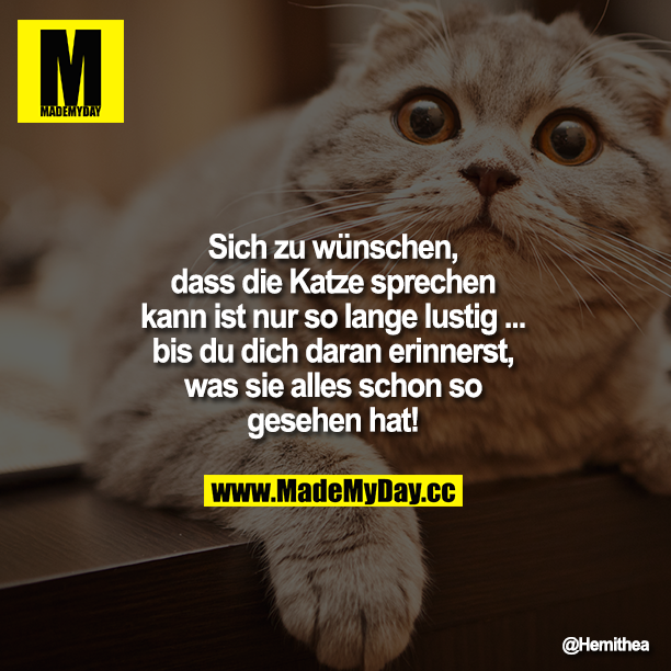 Sich zu wünschen, dass die Katze sprechen kann ist nur so lange lustig ... bis du dich daran erinnerst, was sie alles schon so gesehen hat!