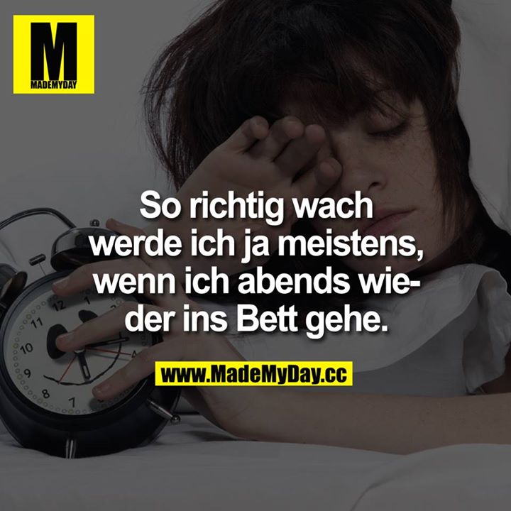 So richtig wach werde ich ja meistens, wenn ich abends wieder ins Bett gehe.