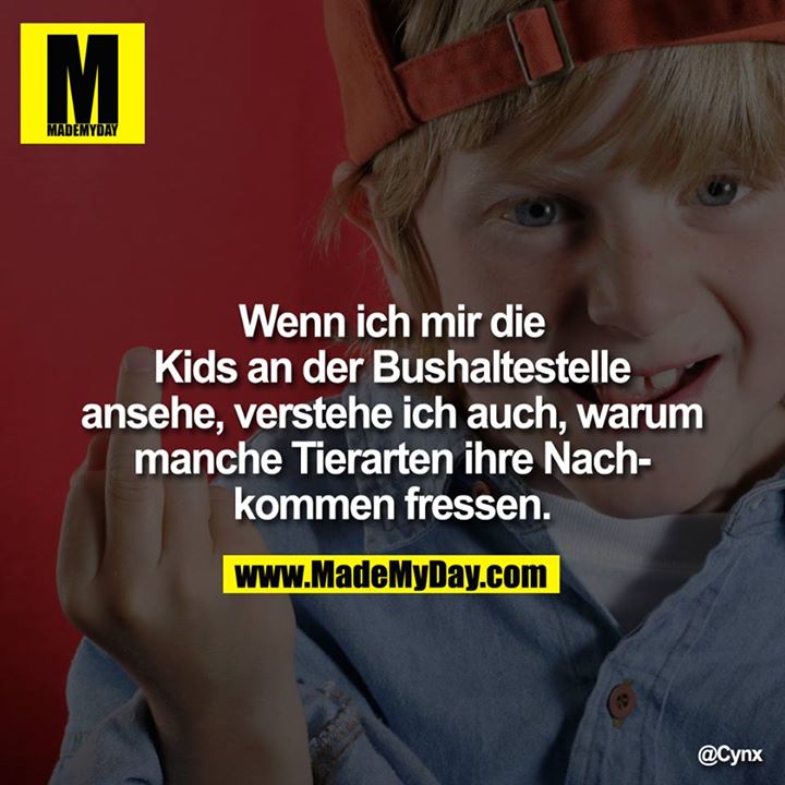 Wenn ich mir die Kids an der Bushaltestelle ansehe, verstehe ich auch, warum manche Tierarten ihre Nachkommen fressen.