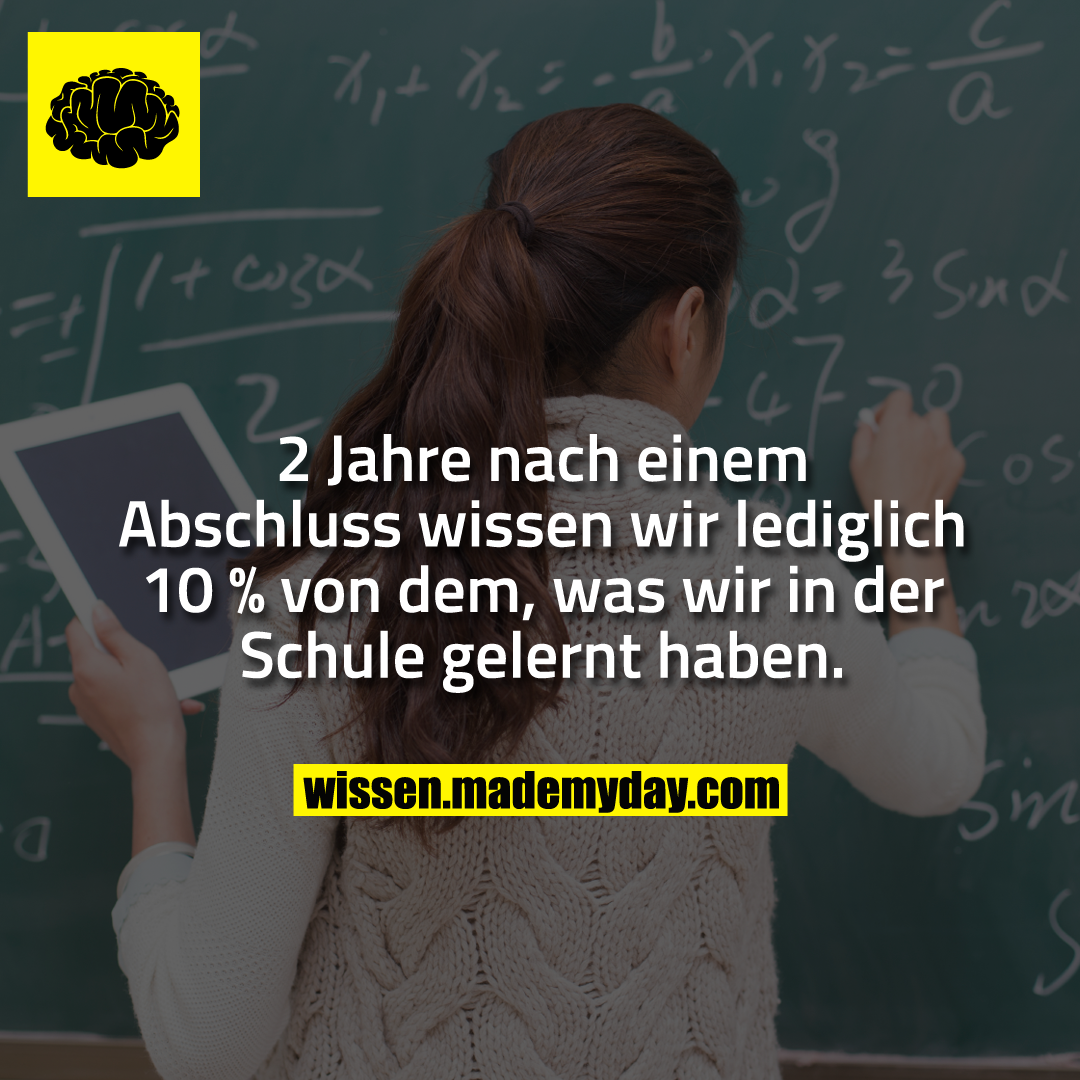 2 Jahre nach einem Abschluss wissen wir lediglich 10 % von dem, was wir in der Schule gelernt haben.