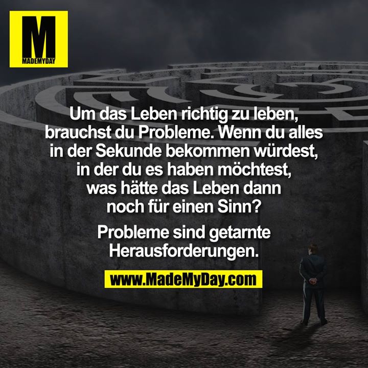 Um das Leben richtig zu leben, brauchst du Probleme. Wenn du alles in der Sekunde bekommen würdest, in der du es haben möchtest, was hätte das Leben denn dann noch für einen Sinn?<br />
Probleme sind getarnte Herausforderungen.
