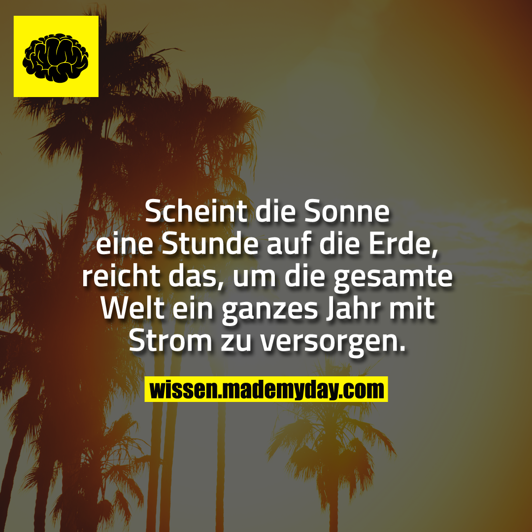 Scheint die Sonne eine Stunde auf die Erde, reicht das, um die gesamte Welt ein ganzes Jahr mit Strom zu versorgen.
