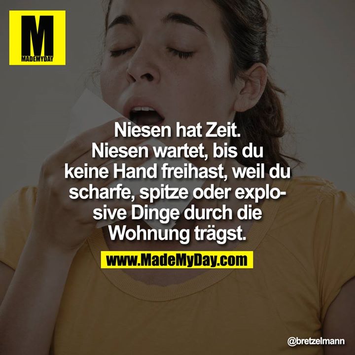 Niesen hat Zeit.<br />
Niesen wartet, bis du keine Hand freihast, weil du scharfe, spitze oder explosive Dinge durch die Wohnung trägst. 
