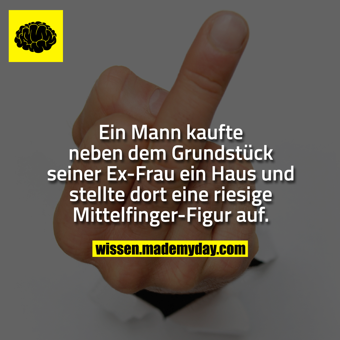 Ein Mann kaufte neben dem Grundstück seiner Ex-Frau ein Haus und stellte dort eine riesige Mittelfinger-Figur auf.