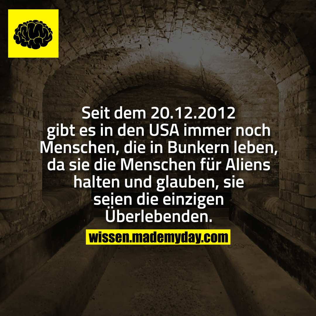 Seit dem 20.12.2012 gibt es in den USA immer noch Menschen, die in Bunkern leben, da sie die Menschen für Aliens halten und glauben, sie seien die einzigen Überlebenden.