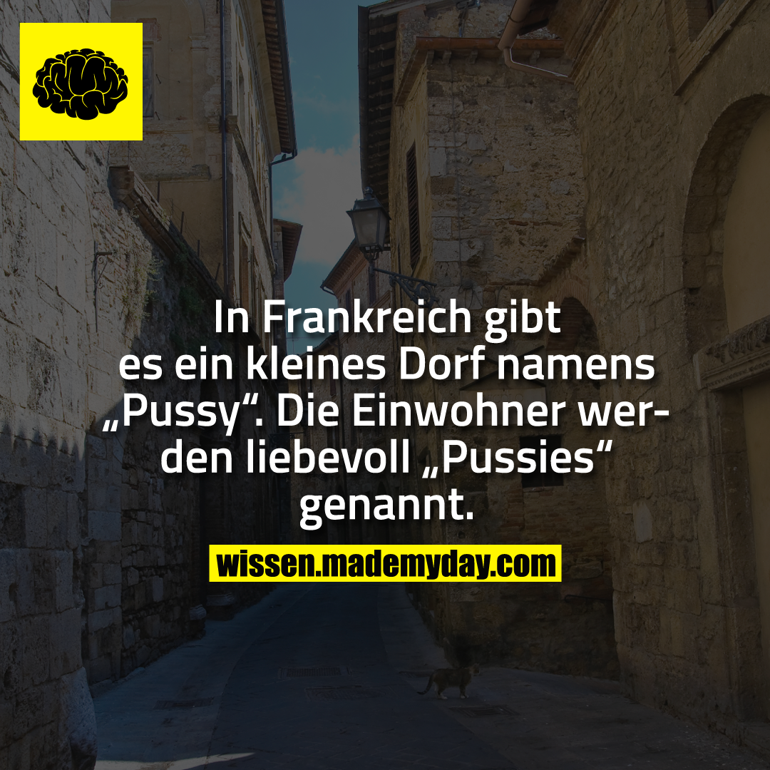 In Frankreich gibt es ein kleines Dorf namens „Pussy“. Die Einwohner werden liebevoll „Pussies“ genannt.