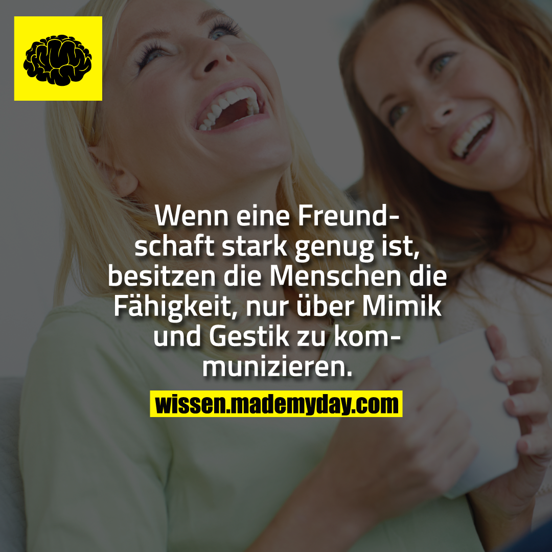Wenn eine Freundschaft stark genug ist, besitzen die Menschen die Fähigkeit, nur über Mimik und Gestik zu kommunizieren.
