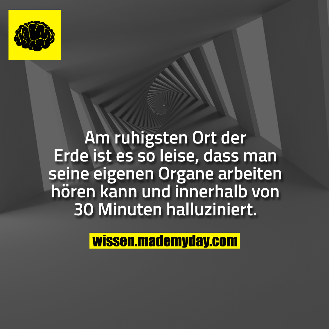 Am ruhigsten Ort der Erde ist es so leise, dass man seine eigenen Organe arbeiten hören kann und innerhalb von 30 Minuten halluziniert.