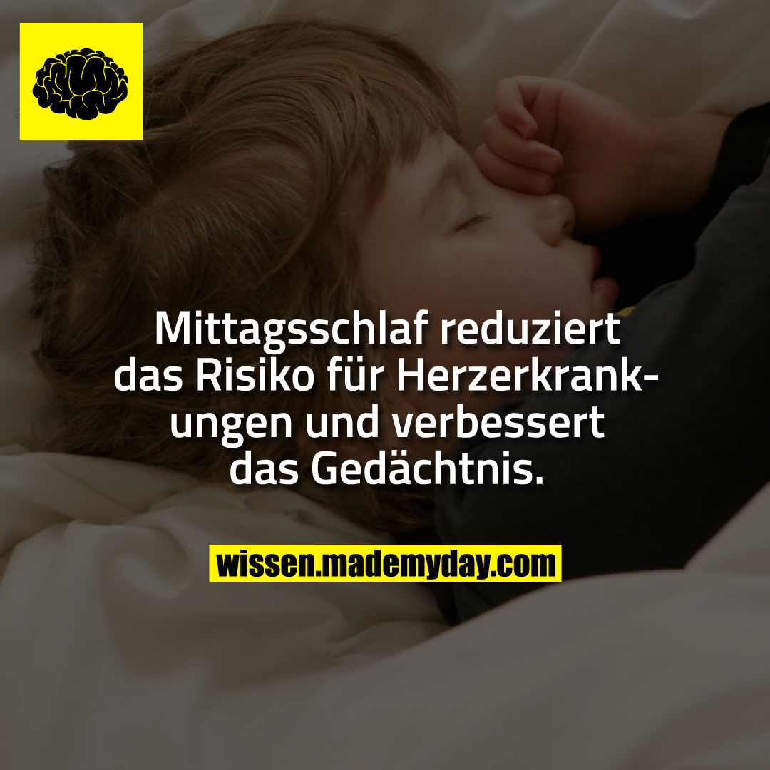 Mittagsschlaf reduziert das Risiko für Herzerkrankungen und verbessert das Gedächtnis.
