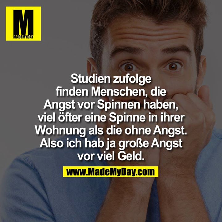 Studien zufolge finden Menschen, die Angst vor Spinnen haben, viel öfter eine Spinne in ihrer Wohnung als die ohne Angst. Also, ich hab ja große Angst vor viel Geld.