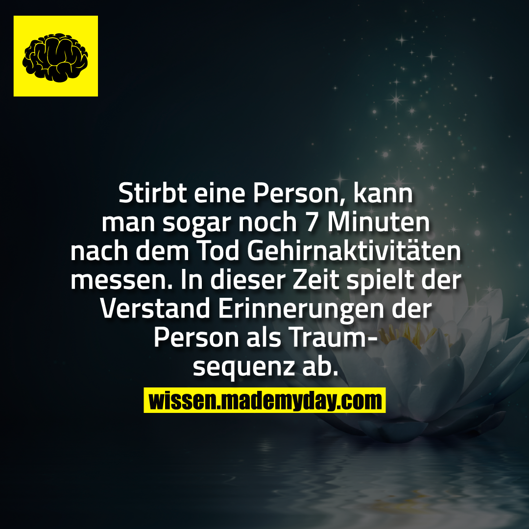 Stirbt eine Person, kann man sogar noch 7 Minuten nach dem Tod Gehirnaktivitäten messen. In dieser Zeit spielt der Verstand Erinnerungen der Person als Traumsequenz ab.