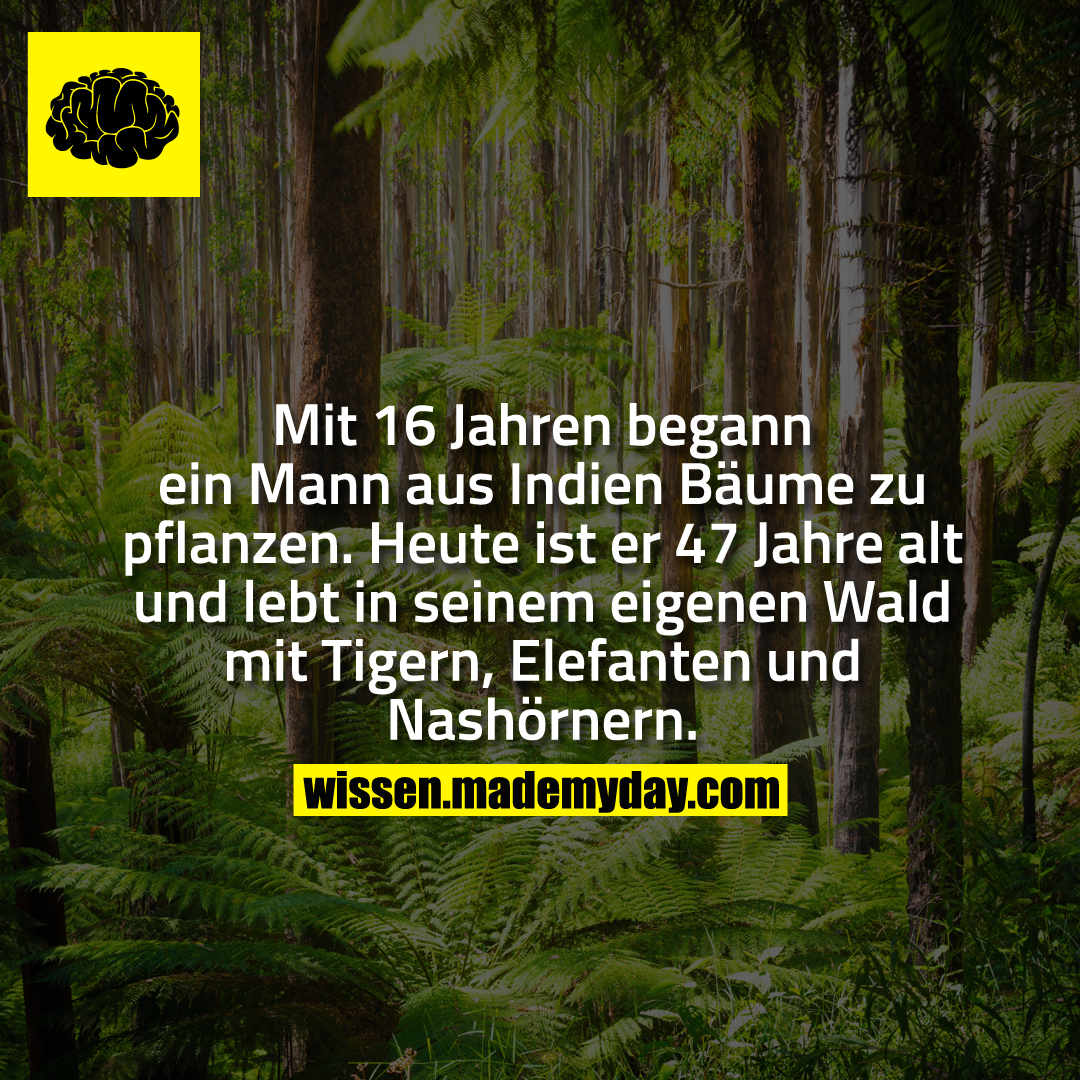 Mit 16 Jahren begann ein Mann aus Indien Bäume zu pflanzen. Heute ist er 47 Jahre alt und lebt in seinem eigenen Wald mit Tigern, Elefanten und Nashörnern.