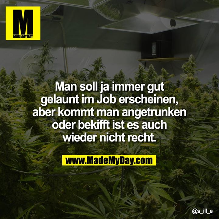Man soll ja immer gut gelaunt im Job erscheinen, aber kommt man angetrunken oder bekifft ist es auch wieder nicht recht.