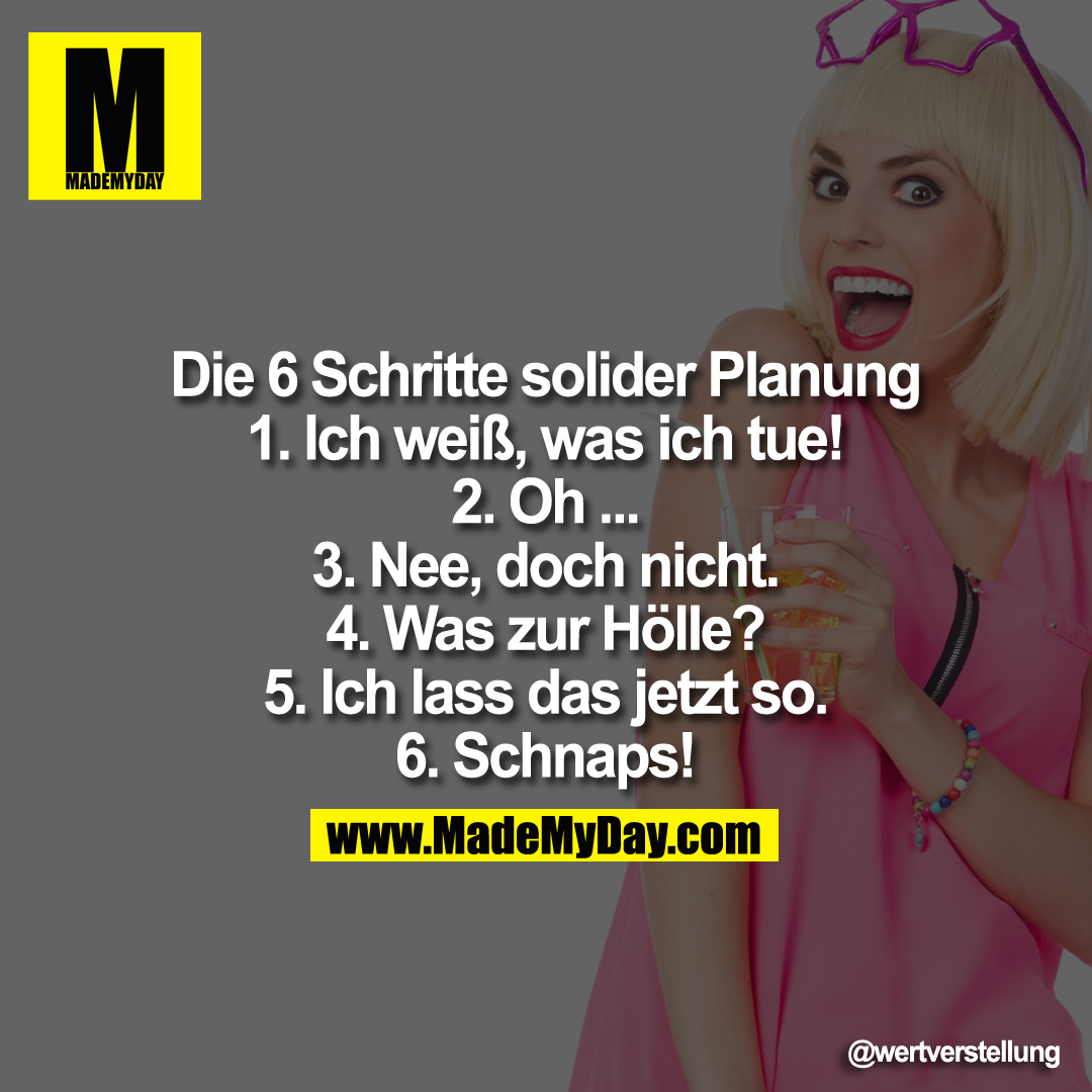 Die 6 Schritte solider Planung<br />
<br />
1. Ich weiß, was ich tue!<br />
2. Oh ...<br />
3. Nee, doch nicht.<br />
4. Was zur Hölle?<br />
5. Ich lass das jetzt so.<br />
6. Schnaps!