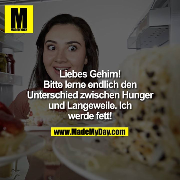 Liebes Gehirn!<br />
Bitte lerne endlich den Unterschied zwischen Hunger und Langeweile.<br />
Ich werde fett!