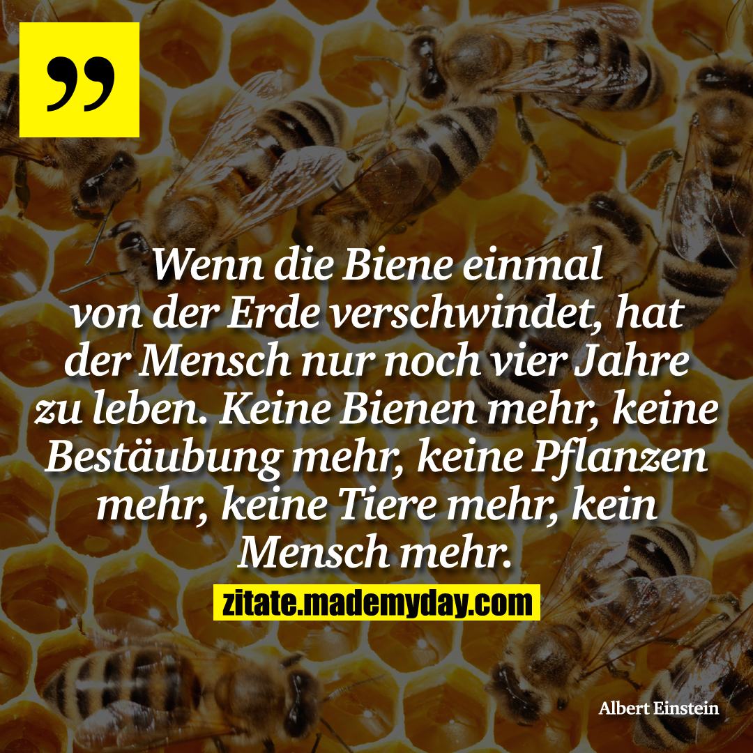 Wenn die Biene einmal von der Erde verschwindet, hat der Mensch nur noch vier Jahre zu leben. Keine Bienen mehr, keine Bestäubung mehr, keine Pflanzen mehr, keine Tiere mehr, kein Mensch mehr.