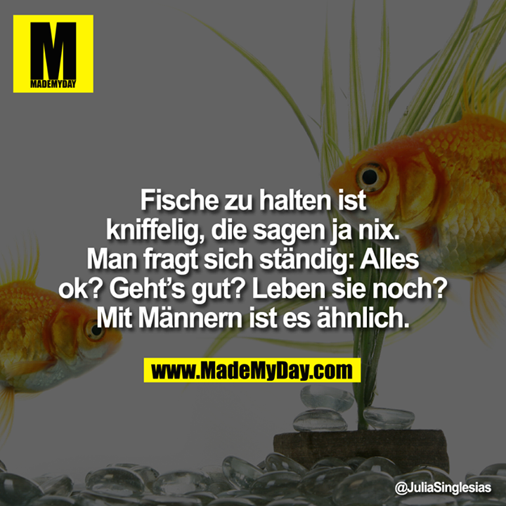 Fische zu halten<br />
ist kniffelig, die sagen ja nix.<br />
<br />
Man fragt sich ständig:<br />
Alles ok? Geht's gut? Leben sie noch?<br />
Mit Männern ist es ähnlich.