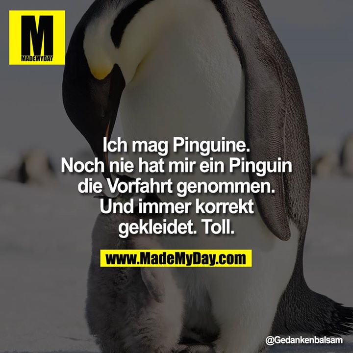 Ich mag Pinguine. Noch nie hat mir ein Pinguin die Vorfahrt genommen. Und immer korrekt gekleidet. Toll.