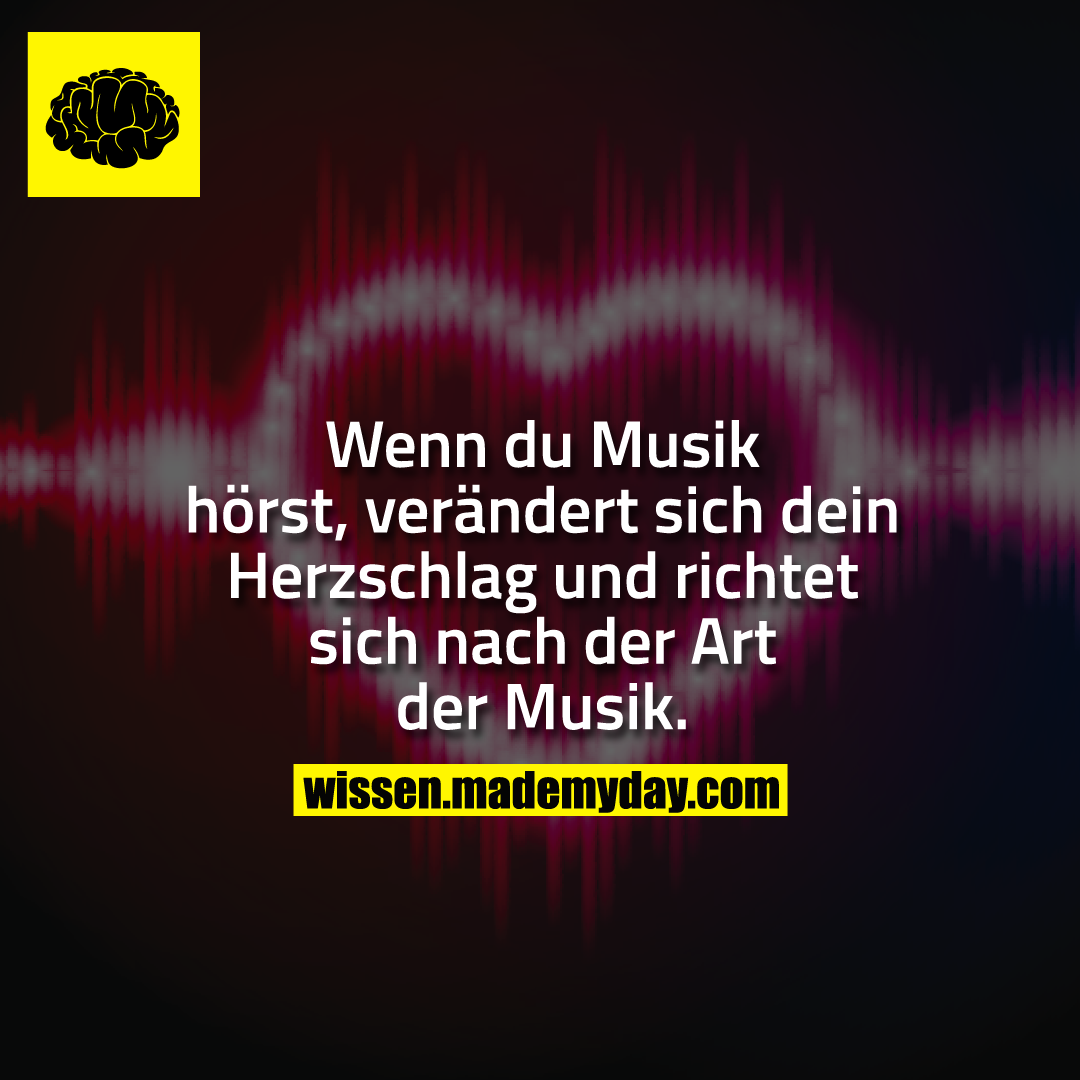 Wenn du Musik hörst, verändert sich dein Herzschlag und richtet sich nach der Art der Musik.