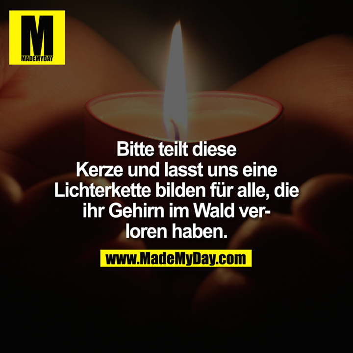 Bitte teilt diese Kerze und lasst uns eine Lichterkette bilden für alle, die ihr Gehirn im Wald verloren haben.
