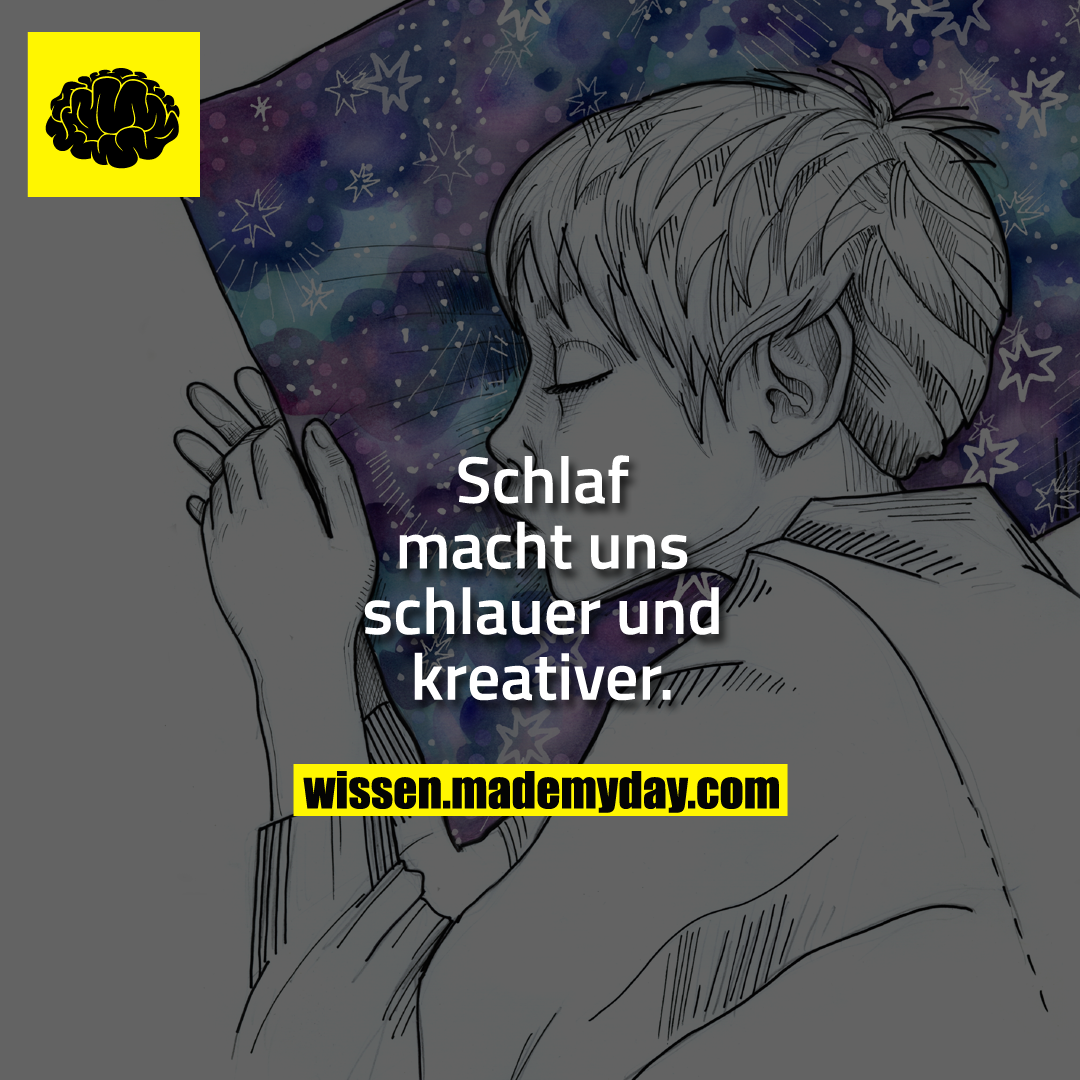 Schlaf macht uns schlauer und kreativer.